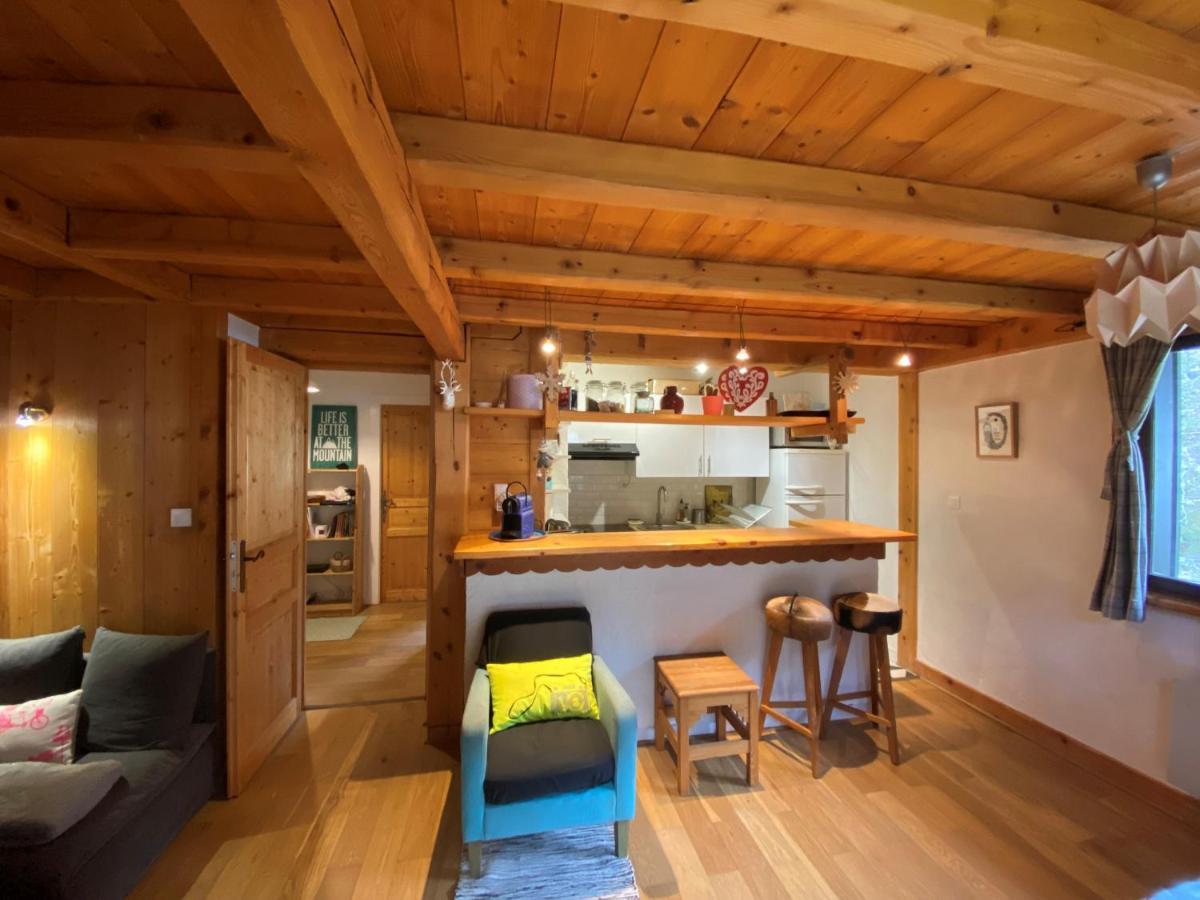 Appartement Cosy Au Pied Du Mtblanc Chamonix Exterior photo